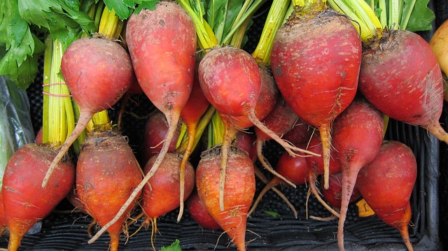 how to store root crops - beets