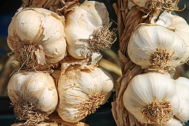 How to Preserve Garlic