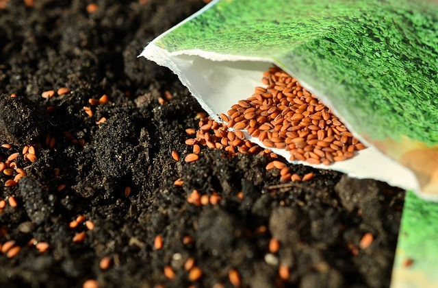 seed packet...sowing seeds