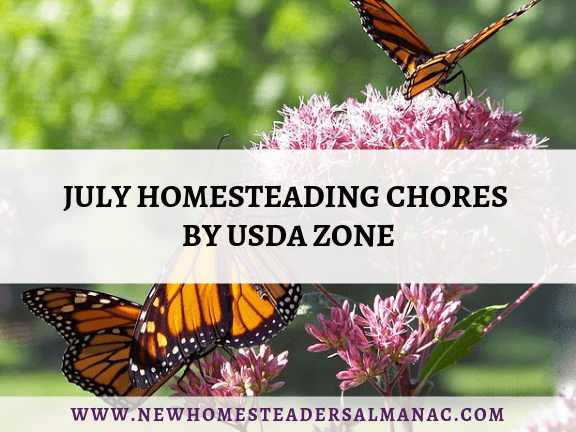 July Homesteading Chores