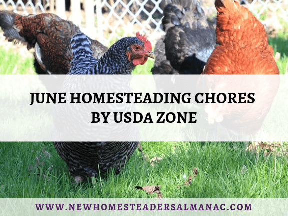 June Homesteading Chores by USDA Zone