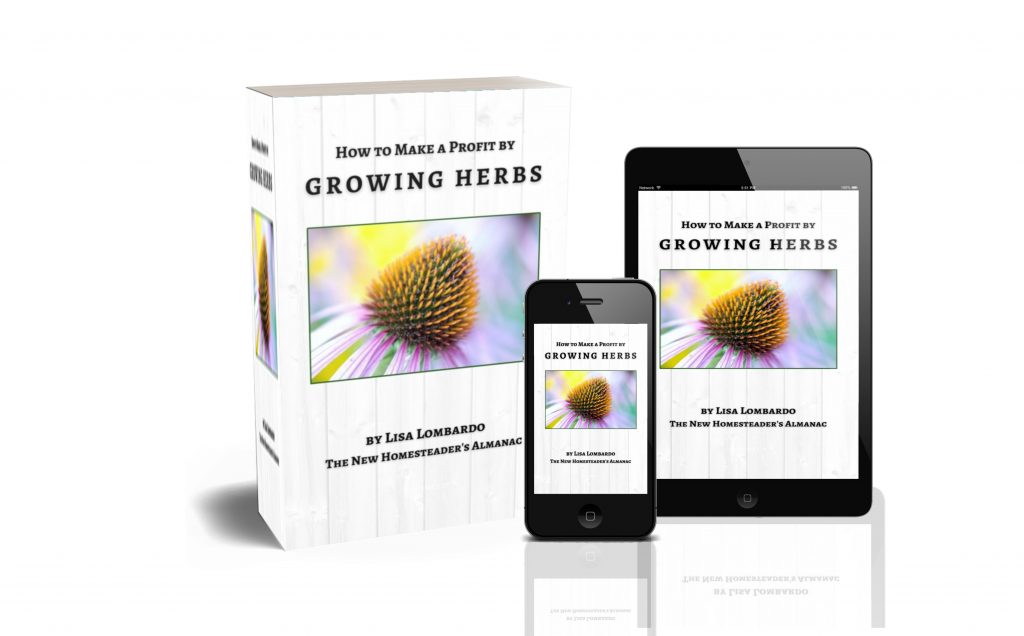 How to Make a Profit by Growing Herbs ebook